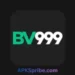 BV999 Game