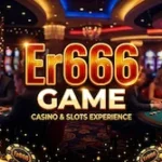 Er666 game